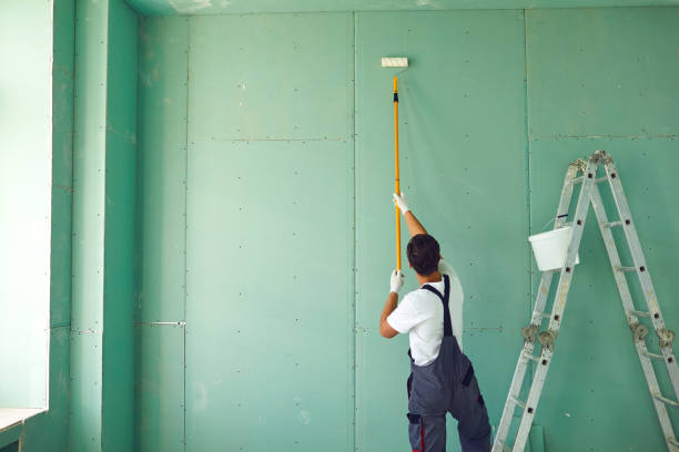 Best Attic Mold Removal  in Ilion, NY