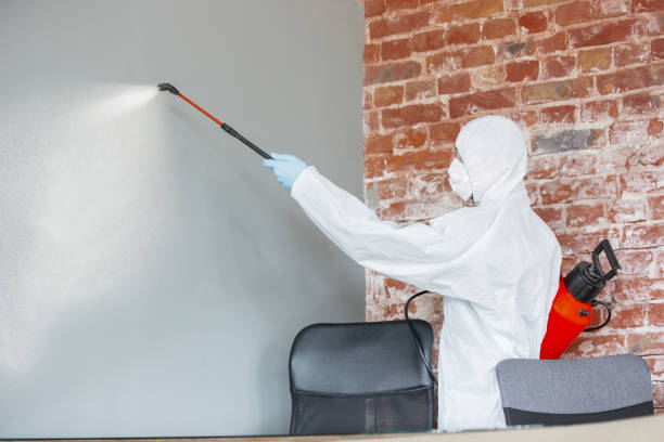 Best Post-Remediation Verification Testing  in Ilion, NY