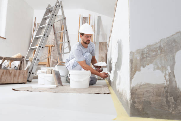 Best Comprehensive Air Testing for Mold Contaminants  in Ilion, NY