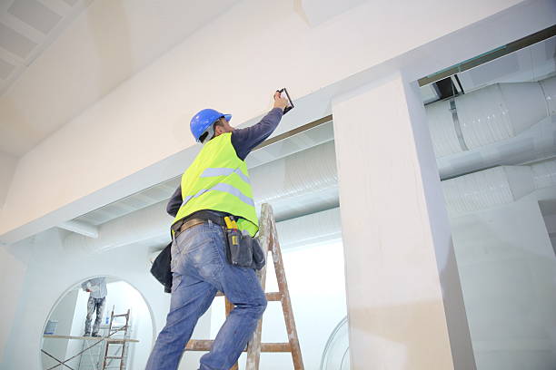 Best Industrial Mold Remediation  in Ilion, NY